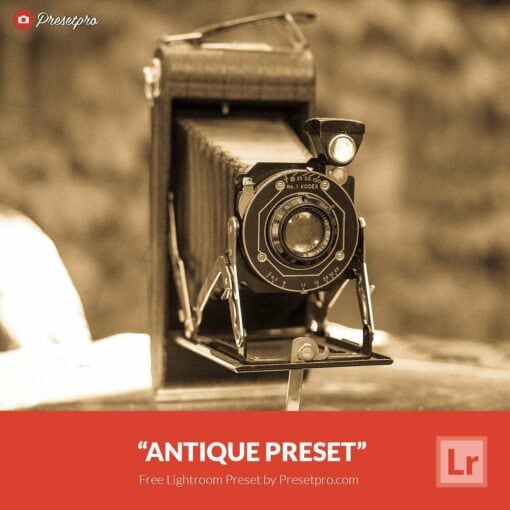 Free-Lightroom-Preset-Antique