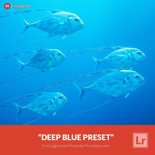 Free-Lightroom-Preset-Deep-Blue