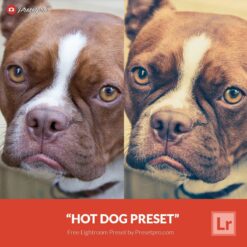 Free-Lightroom-Preset-Hot-Dog