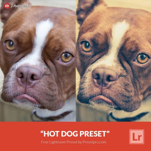 Free-Lightroom-Preset-Hot-Dog