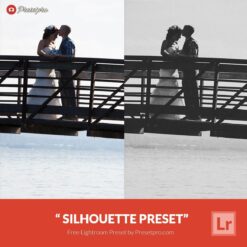 Free-Lightroom-Preset-Silhouette