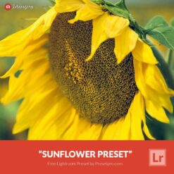 Free-Lightroom-Preset-Sunflower