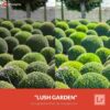 Free-Lightroom-Preset-Lush-Garden