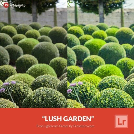 Free-Lightroom-Preset-Lush-Garden