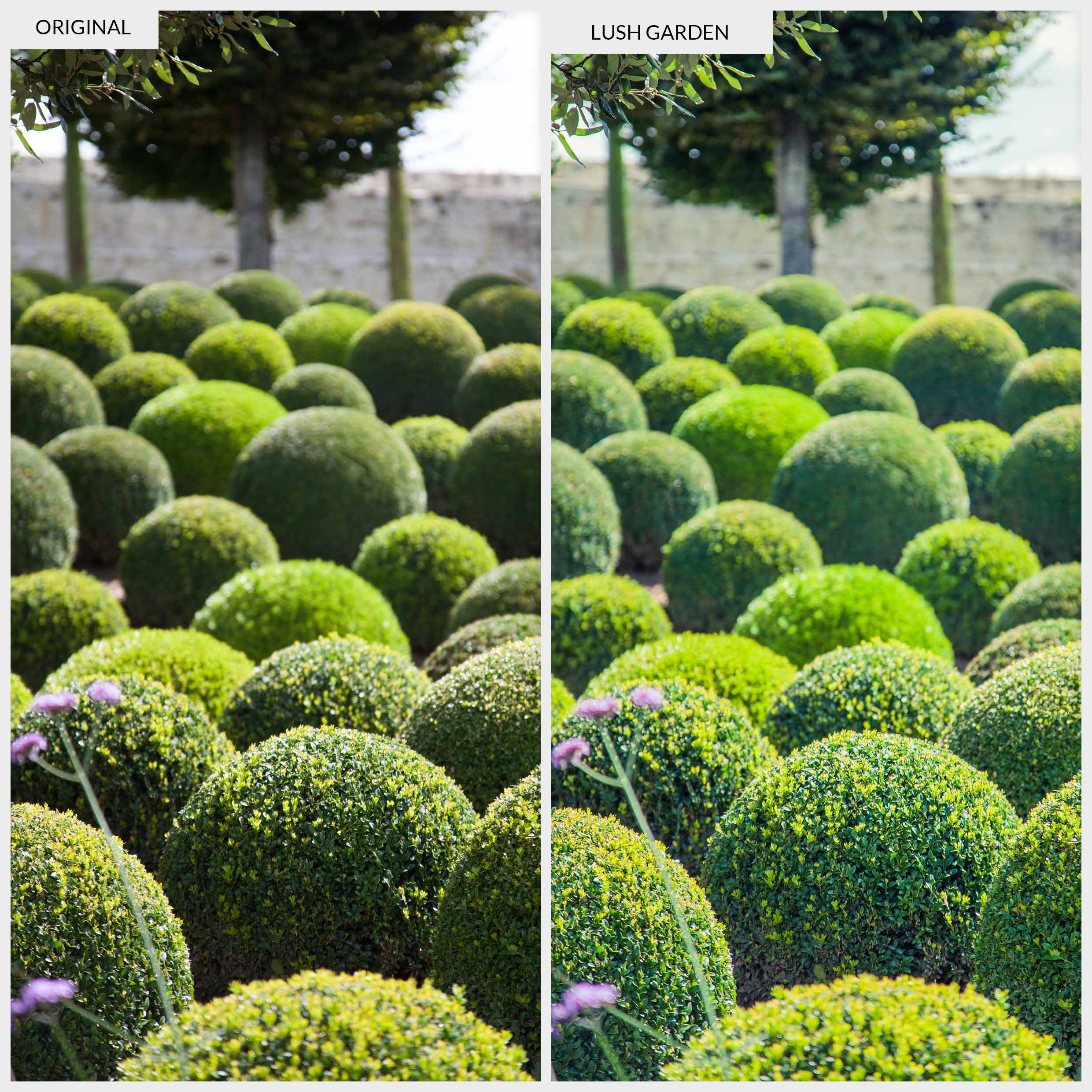 Free Lightroom Preset Lush Garden