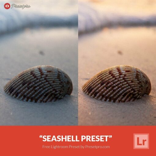 Free Lightroom Preset Seashell Presetpro