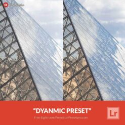 Free-Lightroom-Preset-Dynamic