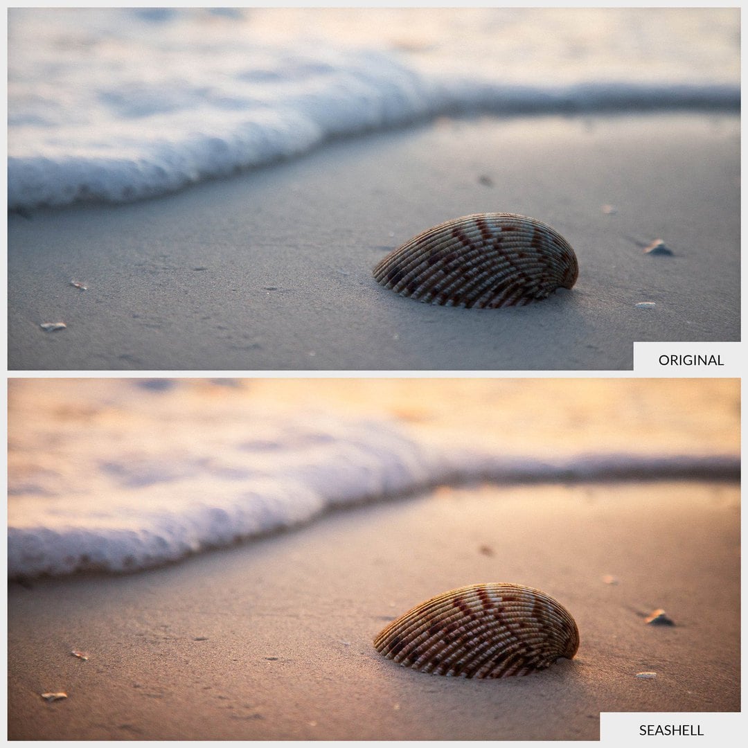 Free-Lightroom-Preset-Seashell-Before-and-After-Presetpro.com