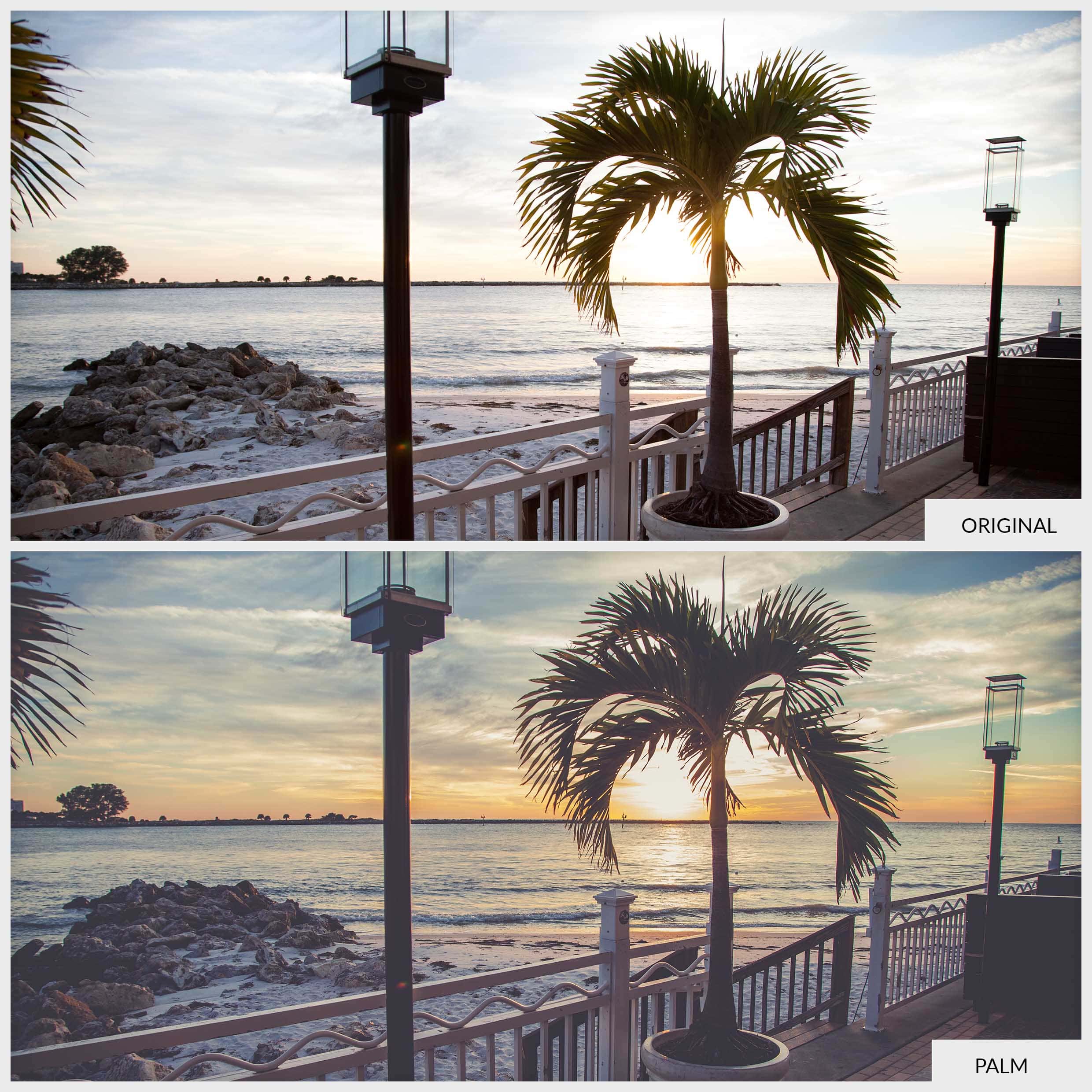 Free Lightroom Preset Palm