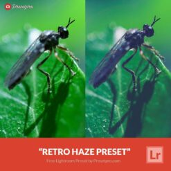 Free-Lightroom-Preset-Retro-Haze