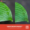 Free-Lightroom-Presets-Dew-Drops