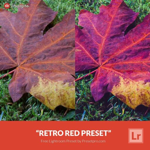 Free-Lightroom-Preset-Retro-Red