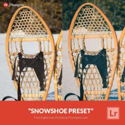 Free-Lightroom-Preset-SnowShoe