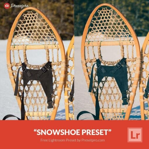 Free-Lightroom-Preset-SnowShoe