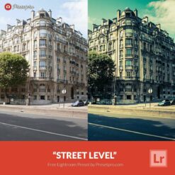 Free-lightroom-Preset-Street-Level