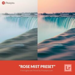 Free Lightroom Preset Rose Mist