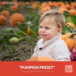 Free-Lightroom-Preset-Pumpkin