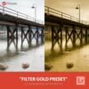 Free-Lightroom-Presets-Filter-Gold