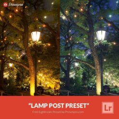 Free-Lightroom-Preset-Lamp-Post