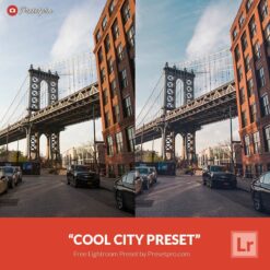 Free-Lightroom-Preset-Cool-City