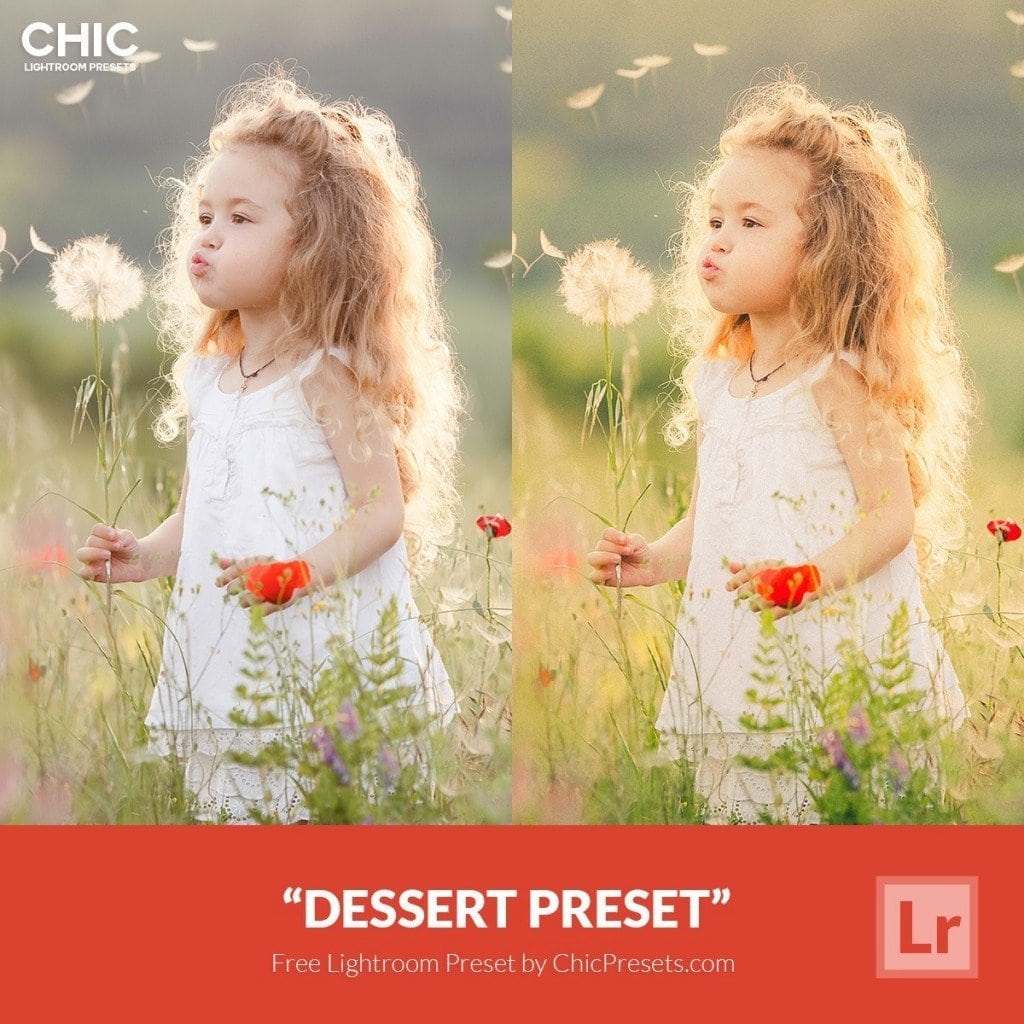 Free Lightroom Preset Dessert