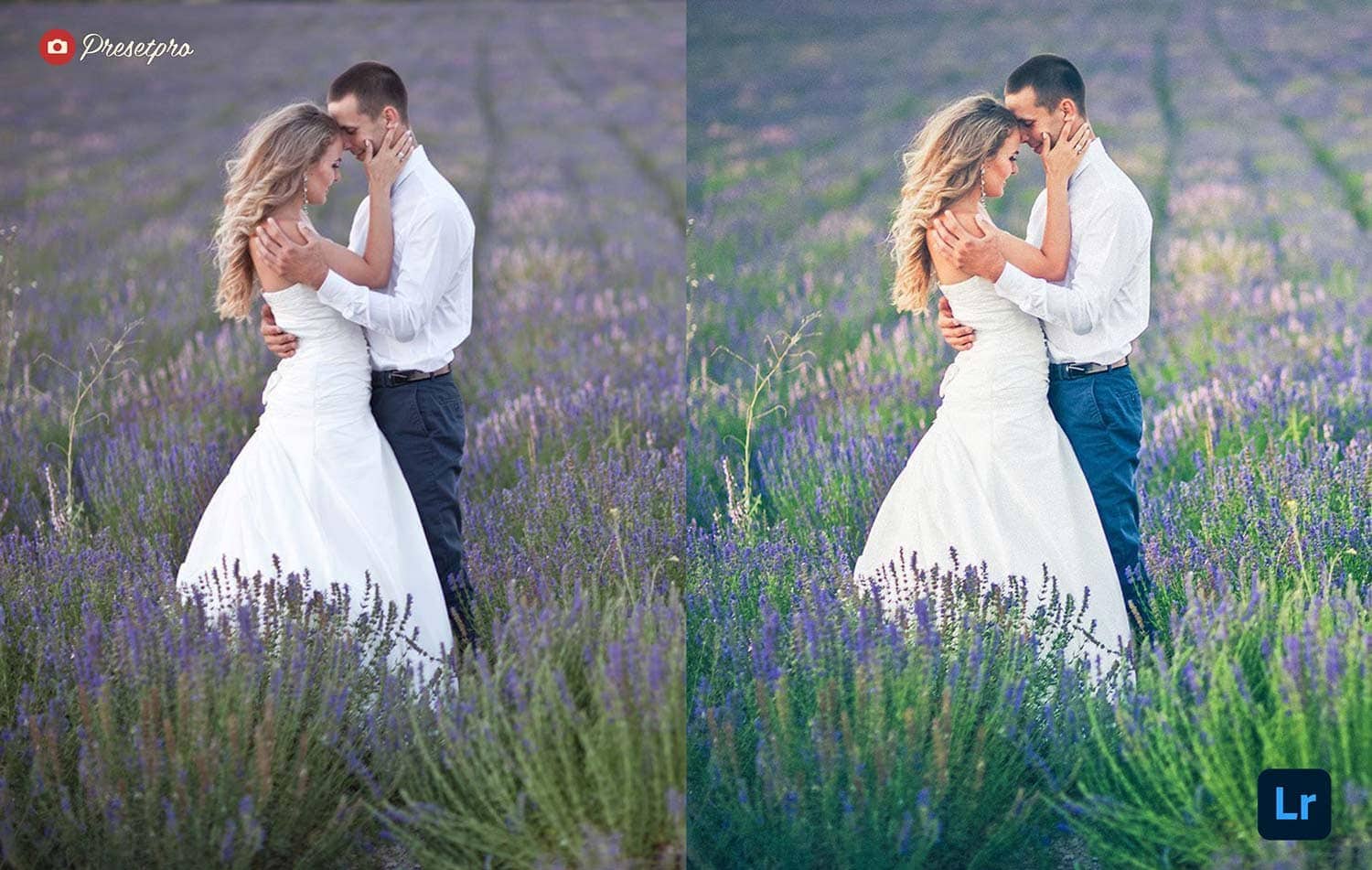 Free-Lightroom-Preset-The-Bouquet-Preset-Freepresets.com