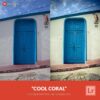 Free-Lightroom-Preset-Cool-Coral