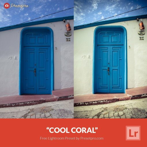 Free-Lightroom-Preset-Cool-Coral