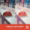 Free-Lightroom-Preset-Vibrant-Light