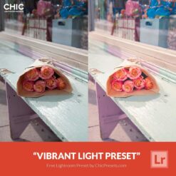 Free-Lightroom-Preset-Vibrant-Light