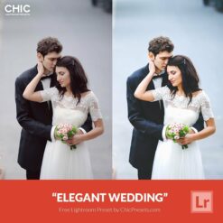 Free-Lightroom-Preset-Elegant-Wedding