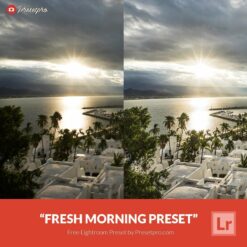 Free-Lightroom-Preset-Fresh-Morning