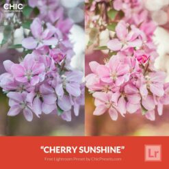 Free Lightroom Preset Cherry Sunshine