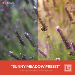 Free-Lightroom-Preset-Sunny-Meadow