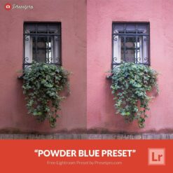 Free-Lightroom-Preset-Powder-Blue