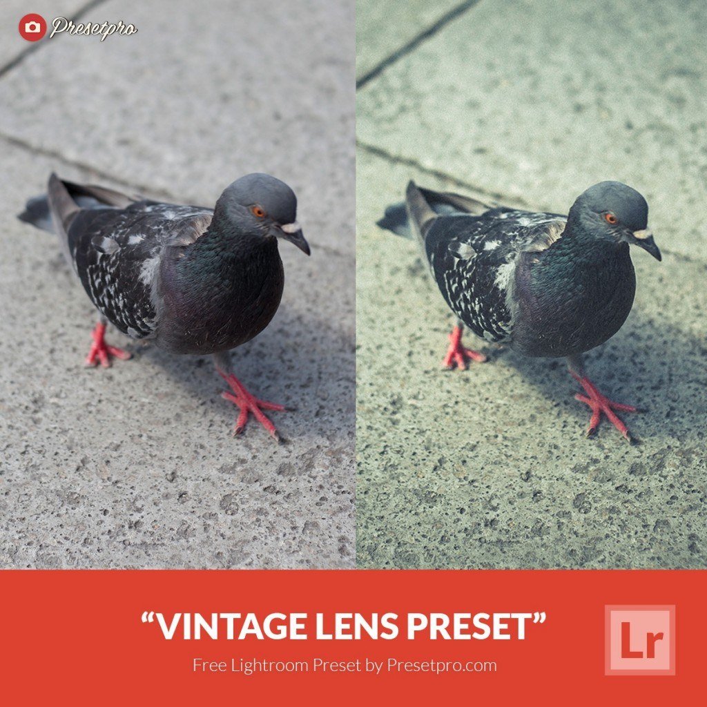 Free-Lightroom-Preset-Vintage-Lens