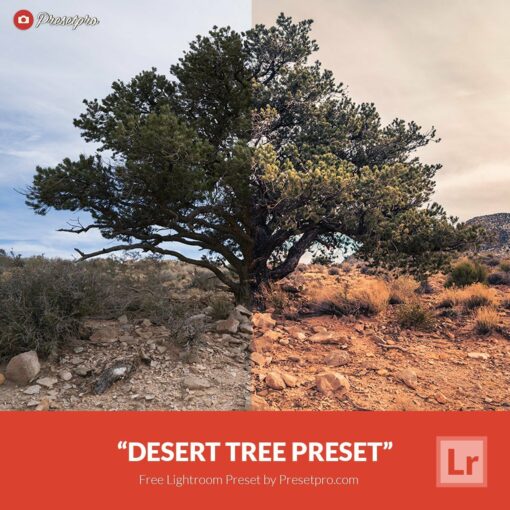 free-lightroom-preset-desert-tree