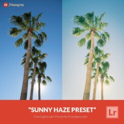 free-lightroom-preset-sunny-haze