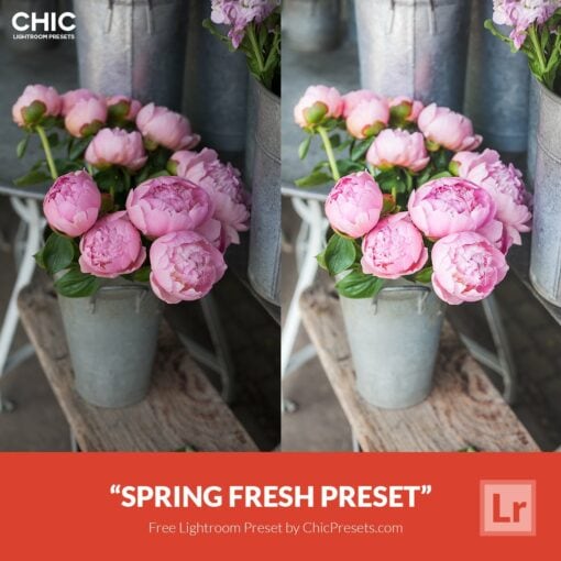 Free-Lightroom-Preset-Spring-Fresh-Chic-Presets