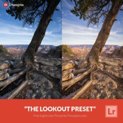 Free-Lightroom-Preset-The-Lookout