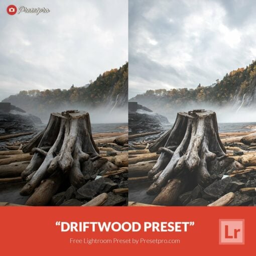 Free-Lightroom-Preset-Driftwood