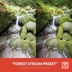 Download this Free Lightroom Preset "Tropical Nights" compliments of Presetpro.com. The “Tropical Nights” preset is perfect for Night cityscape photography and it will give you photo a clean and crisp look! Best time to take you photo is during blue hour