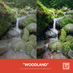 Free Lightroom Preset Woodland Presetpro.com