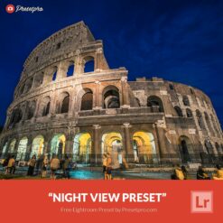 Free-Lightroom-Preset-Night-View