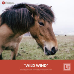 Free Lightroom Classic Preset Wild Wind Presetpro