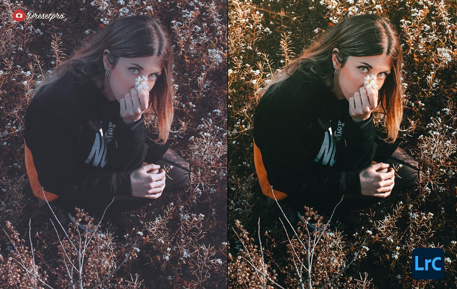 Free Lightroom Preset Vintage Film Before and After Presetpro.com