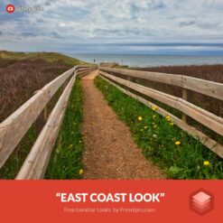 Free-Luminar-Look-East-Coast-Preset-Presetpro.com