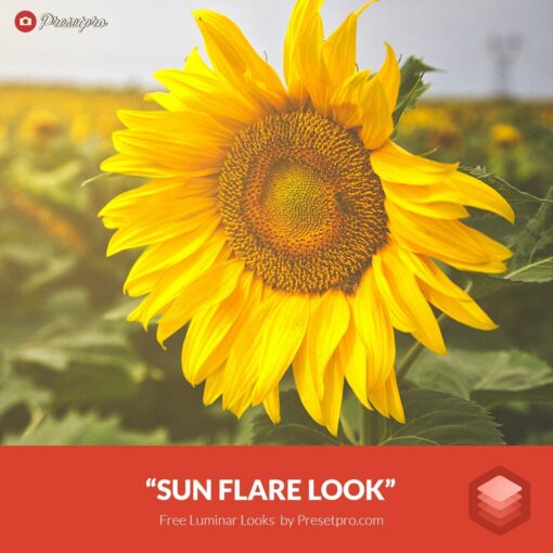 Free Luminar Look Sun Flare Preset Presetpro.com and Freepresets.com