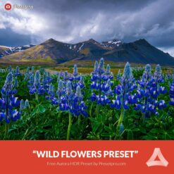 Free-Aurora-HDR-Preset-Wild-Flowers-Presetpro