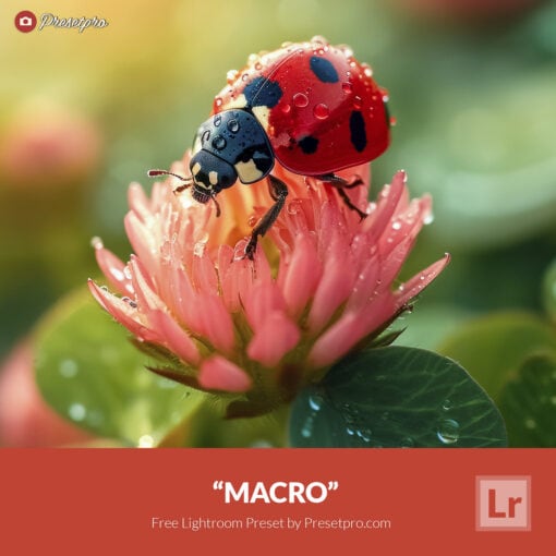 Free Lightroom Preset Macro by Presetpro.com Cover